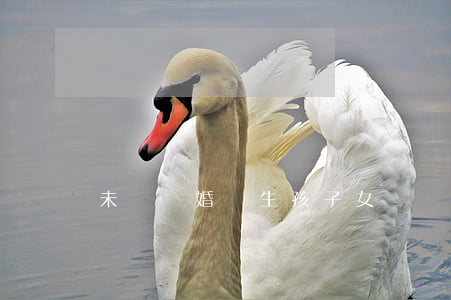 未領結婚證生孩，子女撫養權歸誰？